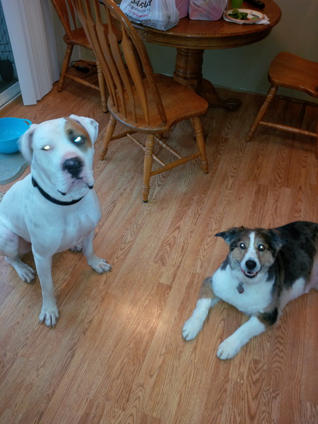 Entry image for Hulk and Leela. Clicking this image will show a larger photo