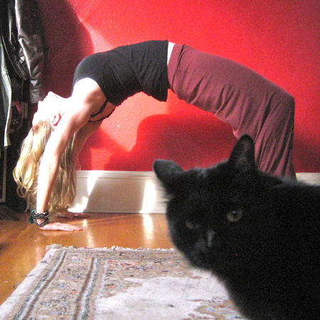 Entry image for Hyphen. Clicking this image will show a larger photo