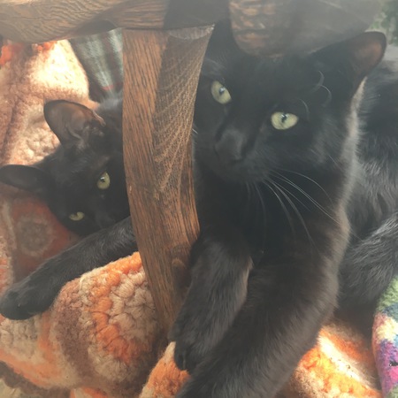 Entry image for Wiley and T.O.. Clicking this image will show a larger photo