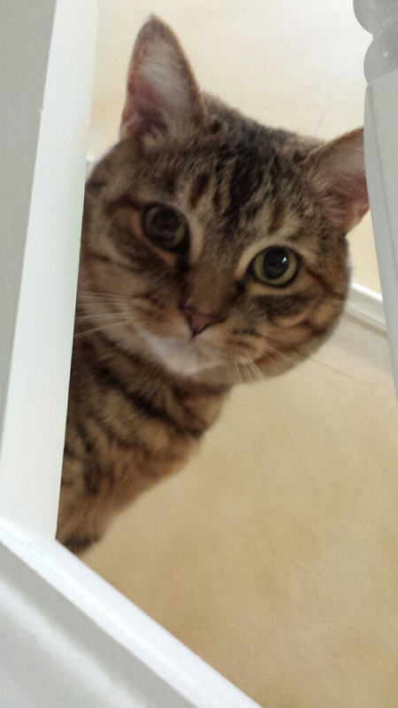 Entry image for Par. Clicking this image will show a larger photo