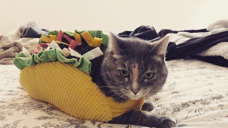 Entry image for Mothers. Clicking this image will show a larger photo