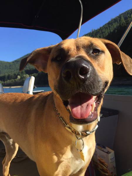 Entry image for Wyatt. Clicking this image will show a larger photo