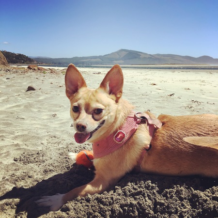 Entry image for Valentine Zielinski. Clicking this image will show a larger photo