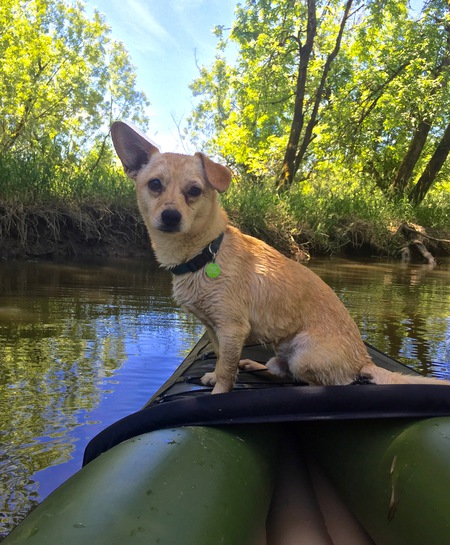 Entry image for Woodford. Clicking this image will show a larger photo