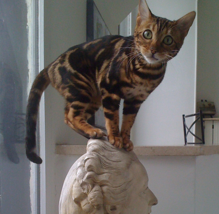 Entry image for Mimi. Clicking this image will show a larger photo