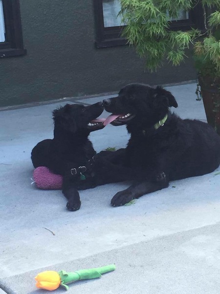 Entry image for Cash & Deliliah. Clicking this image will show a larger photo