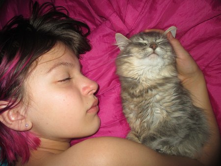 Entry image for Katniss. Clicking this image will show a larger photo