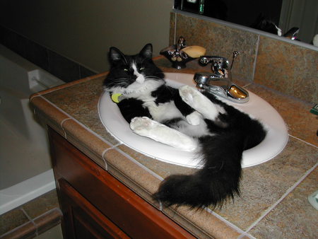 Entry image for Eddie. Clicking this image will show a larger photo