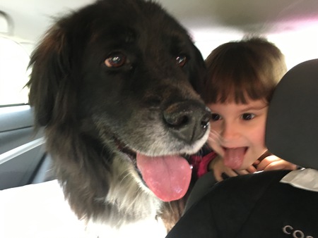 Entry image for Ellie. Clicking this image will show a larger photo