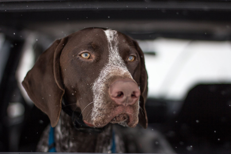 Entry image for Copper. Clicking this image will show a larger photo