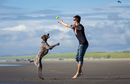 Entry image for Copper. Clicking this image will show a larger photo