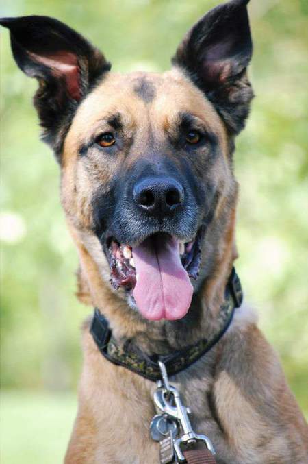 Entry image for Duncan. Clicking this image will show a larger photo