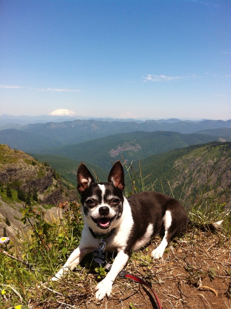 Entry image for Tuti. Clicking this image will show a larger photo