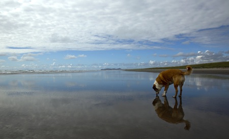 Entry image for Paige. Clicking this image will show a larger photo