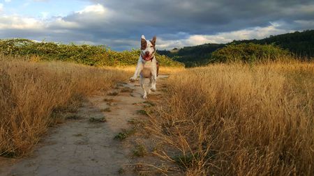 Entry image for Cozette. Clicking this image will show a larger photo