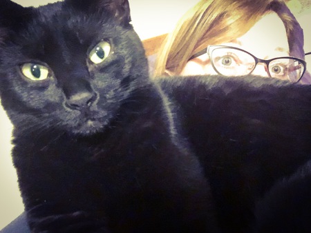 Entry image for Luna. Clicking this image will show a larger photo