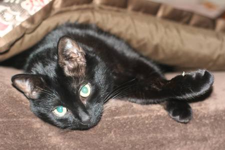 Entry image for Tabitha Bastian. Clicking this image will show a larger photo