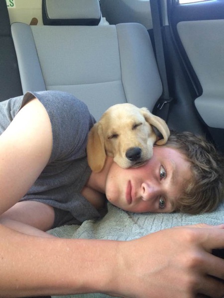 Entry image for Bailey. Clicking this image will show a larger photo