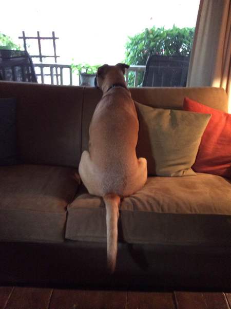 Entry image for Memphis. Clicking this image will show a larger photo