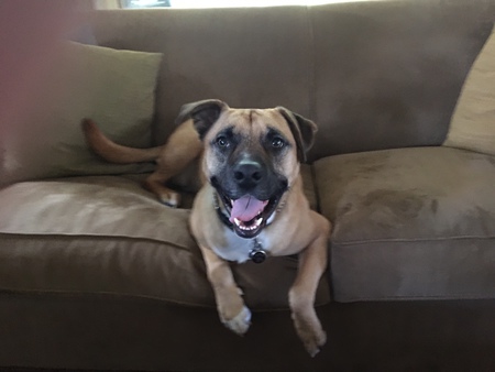 Entry image for Memphis. Clicking this image will show a larger photo