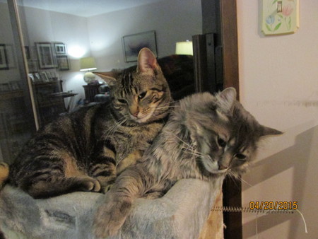 Entry image for Powell and Rain. Clicking this image will show a larger photo