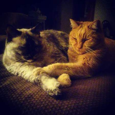 Entry image for Gabbie & Maddie. Clicking this image will show a larger photo