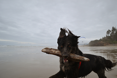 Entry image for Aleister Growley. Clicking this image will show a larger photo