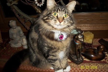 Entry image for Juni. Clicking this image will show a larger photo