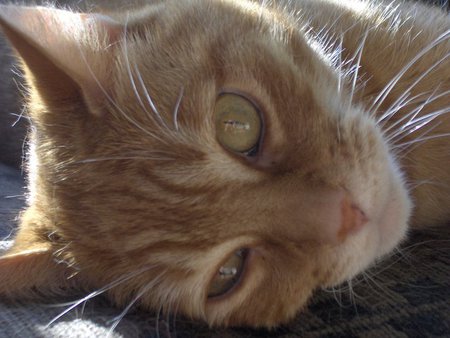 Entry image for Stuart. Clicking this image will show a larger photo