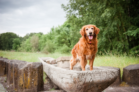 Entry image for Bella. Clicking this image will show a larger photo