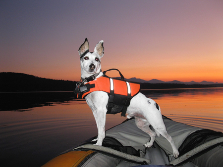Entry image for Mac. Clicking this image will show a larger photo