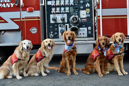 Mari, Neva, Hank, Brandy & Olive 