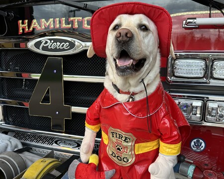 Dozer