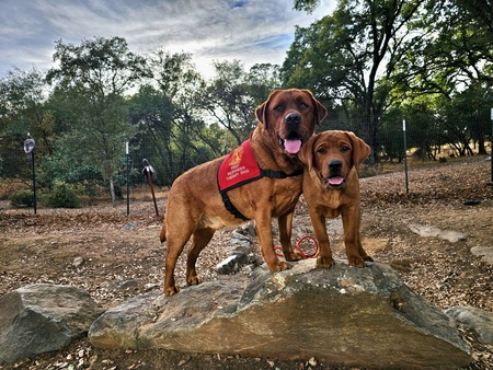 Doc and Lily Blue