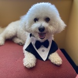 Entry image for Teddy