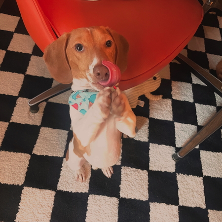 Wally
