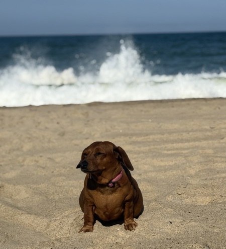 Penny 