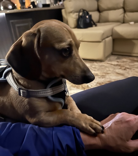 Max