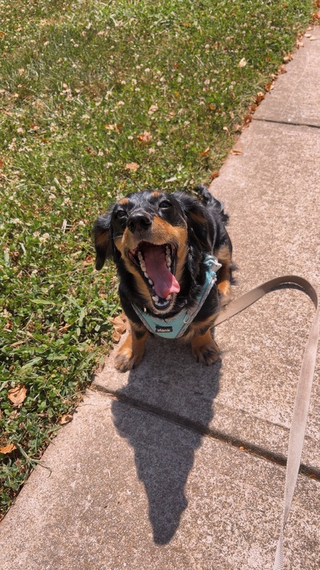 Benny