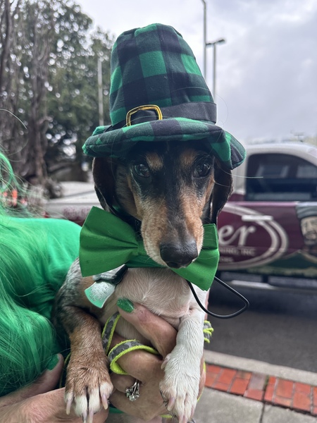 Oscar