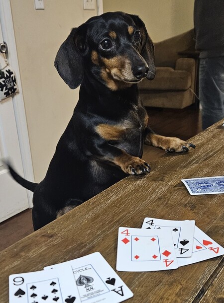 Oscar