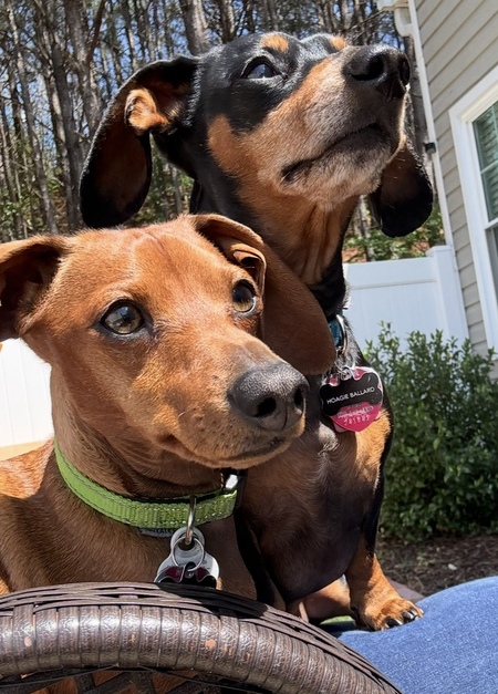 Hoagie & Oscar Mayer