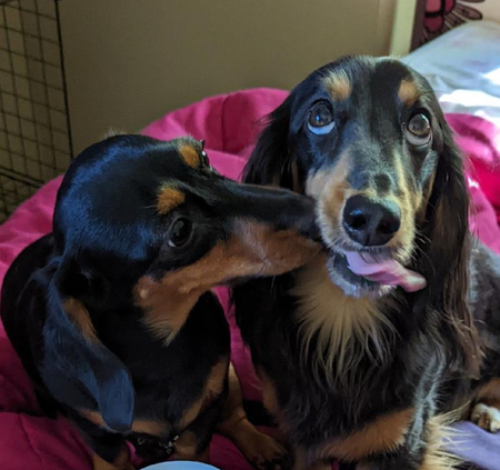 Nemo and Katy