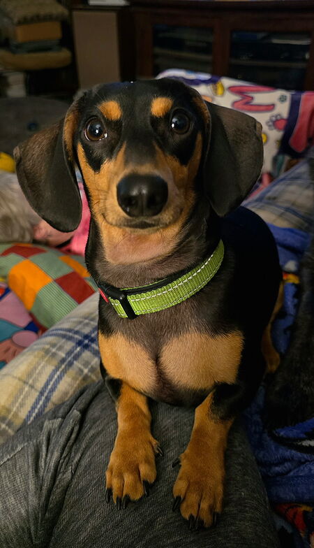 Baxter