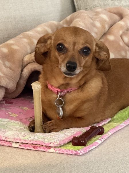 Betsy