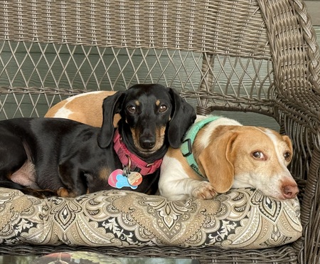 Bullet & Cooper