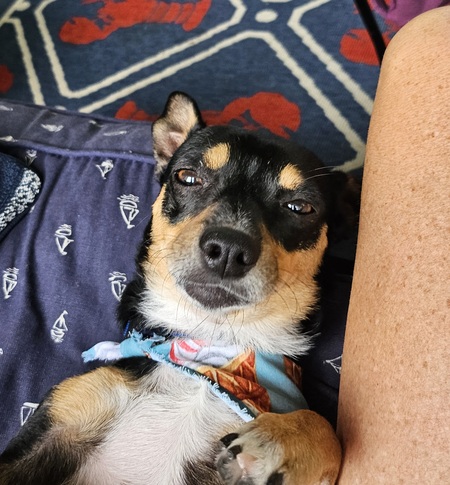 Bubba
