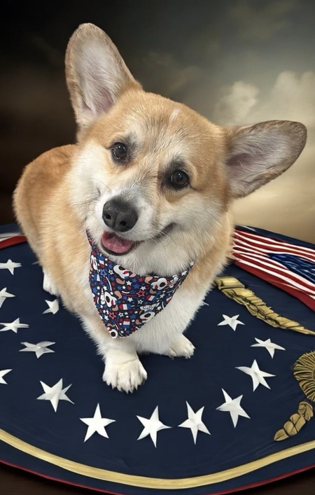 Cooper