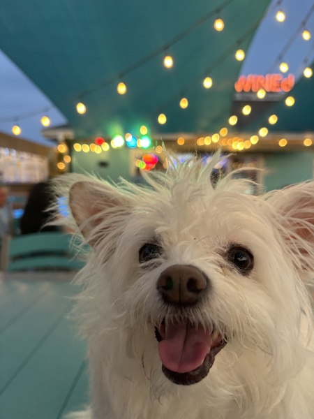 Coco