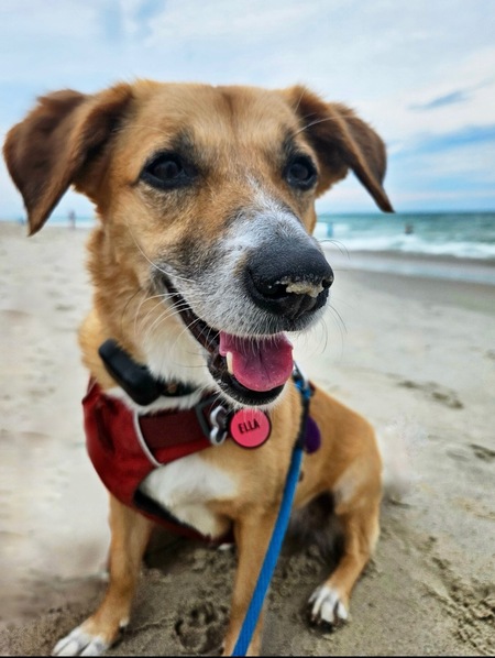 Ella